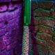 Couteau survivaliste fixe Scorpion Wildsteer - photo 3