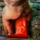 Couverture de Survie 2 personnes. - photo 4