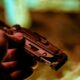 Pince multifonction Leatherman Signal Cerakote coyote tan - photo 4