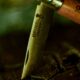 Opinel n°6 Petit mais hargneux ! - photo 4