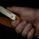Couteau de survie wildsteer Baby wild. - photo 5
