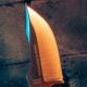 Couteau fixe Karlican Wildsteer acier N690Co lame 7,6cm - photo 4