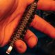 Couteau fixe Karlican Wildsteer acier N690Co lame 7,6cm - photo 3
