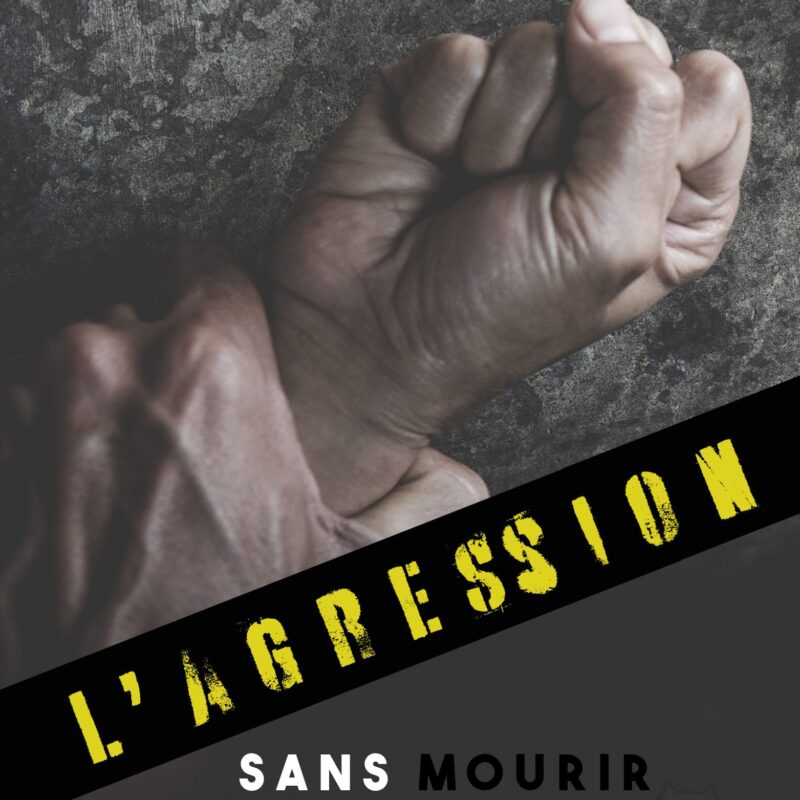 Comment faire face à l’agression E-book Under-guide tome II - photo 1