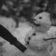 Couteau fixe de survie - photo 5