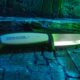 Mora robust - photo 3