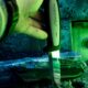 Mora robust - photo 5