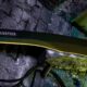 Machette armée Française Wildsteer W Tiger - photo 4